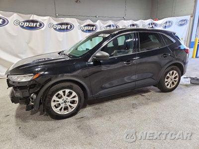 2023 FORD ESCAPE ACTIVE 1FMCU0GNXPUA28082 - główne zdjęcie licytacji z USA - miniatura