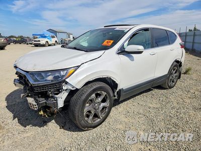 2019 HONDA CR-V EXL 5J6RW1H82KA025415 - główne zdjęcie licytacji z USA - miniatura