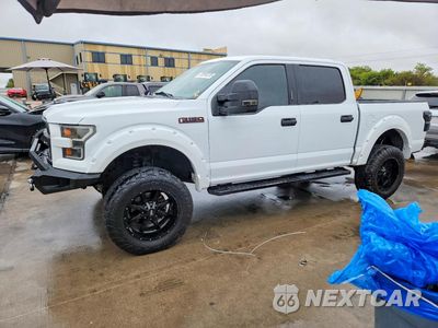 2017 FORD F150 SUPERCREW 1FTEW1EFXHKD26783 - główne zdjęcie licytacji z USA - miniatura