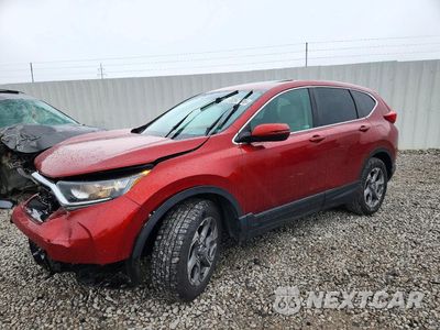 2019 HONDA CR-V EXL 2HKRW2H8XKH645272 - główne zdjęcie licytacji z USA - miniatura
