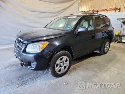 2011 TOYOTA RAV4 BASE 2T3BF4DV6BW105595 - główne zdjęcie licytacji z USA - miniatura