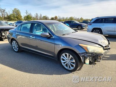 Czwarte zdjęcie samochodu z boku: 2010 HONDA ACCORD EXL VIN:1HGCP3F86AA002968 - miniatura