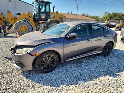 2016 HONDA CIVIC LX 19XFC2E57GE005523 - główne zdjęcie licytacji z USA - miniatura