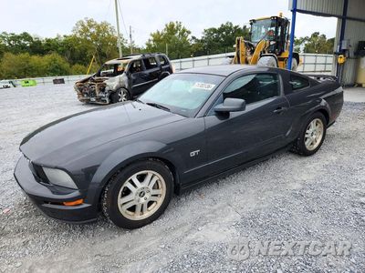 2007 FORD MUSTANG GT 1ZVHT82H175215604 - główne zdjęcie licytacji z USA - miniatura