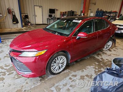 2019 TOYOTA CAMRY XLE 4T1B11HKXKU726408 - główne zdjęcie licytacji z USA - miniatura