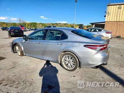 Drugie zdjęcie samochodu z przodu: 2020 TOYOTA CAMRY XLE VIN:4T1F11AK8LU393722 - miniatura