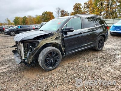 2021 HONDA PILOT SE 5FNYF6H21MB093824 - główne zdjęcie licytacji z USA - miniatura