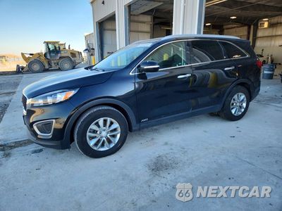 2016 KIA SORENTO LX 5XYPGDA34GG133164 - główne zdjęcie licytacji z USA - miniatura