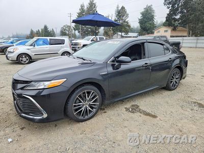 2021 TOYOTA CAMRY XLE 4T1F31AK5MU562767 - główne zdjęcie licytacji z USA - miniatura