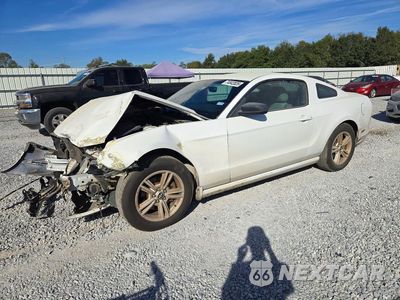 2014 FORD MUSTANG 1ZVBP8AM7E5274758 - główne zdjęcie licytacji z USA - miniatura