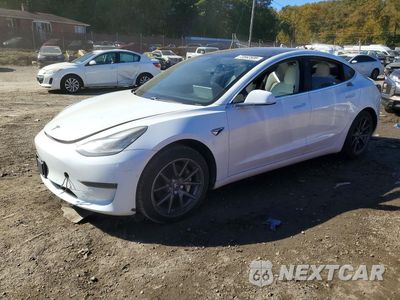 2019 TESLA MODEL 3 5YJ3E1EA3KF407613 - główne zdjęcie licytacji z USA - miniatura