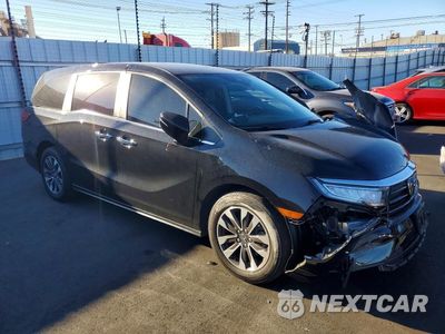 Czwarte zdjęcie samochodu z boku: 2024 HONDA ODYSSEY EXL VIN:5FNRL6H60RB066489 - miniatura
