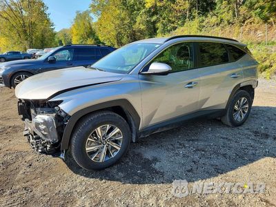 2024 HYUNDAI TUCSON BLUE KM8JBCD12RU191022 - główne zdjęcie licytacji z USA - miniatura