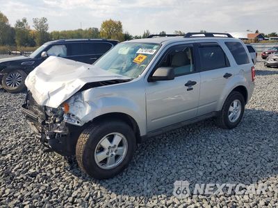 2009 FORD ESCAPE XLT 1FMCU03739KB63930 - główne zdjęcie licytacji z USA - miniatura