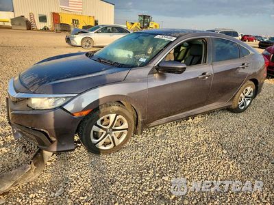 2017 HONDA CIVIC LX 19XFC2F51HE074305 - główne zdjęcie licytacji z USA - miniatura