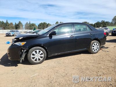 2010 TOYOTA COROLLA LE 1NXBU4EEXAZ210085 - główne zdjęcie licytacji z USA - miniatura