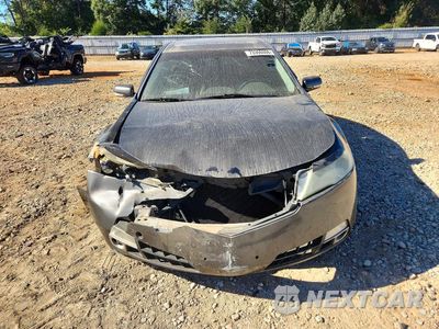 Piąte zdjęcie samochodu w środku: 2009 ACURA TL VIN:19UUA96559A002552 - miniatura