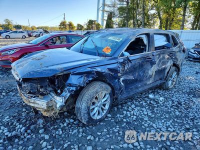 2024 HONDA CR-V EXL 7FARS4H78RE011857 - główne zdjęcie licytacji z USA - miniatura