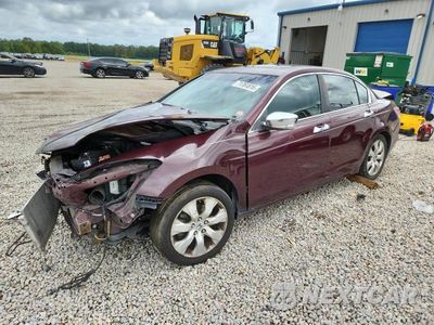 2009 HONDA ACCORD EXL 1HGCP36899A045776 - główne zdjęcie licytacji z USA - miniatura