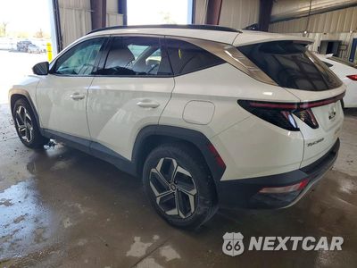 Drugie zdjęcie samochodu z przodu: 2024 HYUNDAI TUCSON LIMITED VIN:5NMJECDE1RH316856 - miniatura