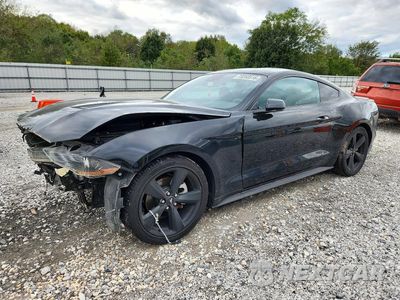 2021 FORD MUSTANG 1FA6P8TH5M5109381 - główne zdjęcie licytacji z USA - miniatura