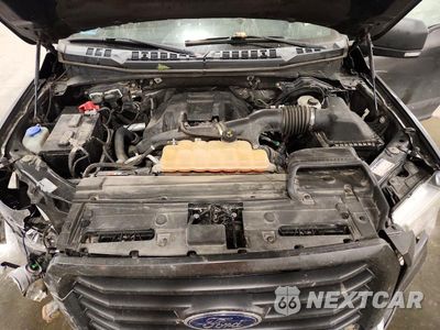 Zdjęcie 11 z 12 samochodu: 2016 FORD F150 SUPERCREW VIN:1FTEW1EP8GFD20206 - miniatura