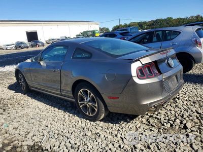 Drugie zdjęcie samochodu z przodu: 2014 FORD MUSTANG VIN:1ZVBP8AMXE5329946 - miniatura