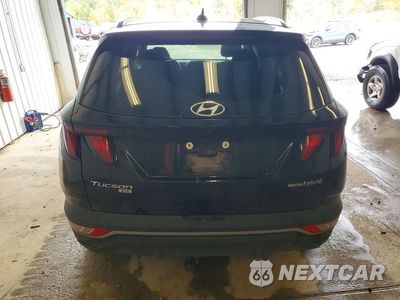 Zdjęcie 6 z 14 samochodu: 2024 HYUNDAI TUCSON BLUE VIN:KM8JBCD1XRU208097 - miniatura