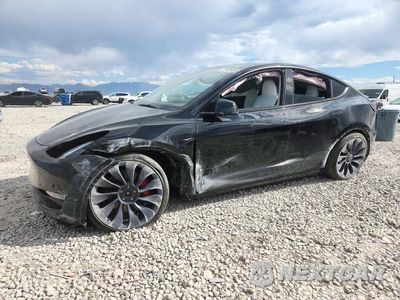 2025 TESLA MODEL Y 7SAYGDEF9SF299286 - główne zdjęcie licytacji z USA - miniatura