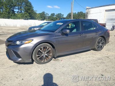 2019 TOYOTA CAMRY SE 4T1B11HK8KU780239 - główne zdjęcie licytacji z USA - miniatura