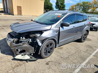 2013 FORD ESCAPE SE 1FMCU0G95DUC10304 - główne zdjęcie licytacji z USA - miniatura