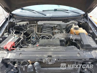 Zdjęcie 11 z 12 samochodu: 2013 FORD F150 SUPERCREW VIN:1FTFW1CF1DKE34453 - miniatura