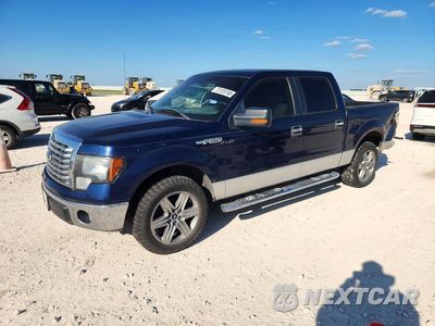 2010 FORD F150 SUPERCREW 1FTEW1C87AFD43091 - główne zdjęcie licytacji z USA - miniatura