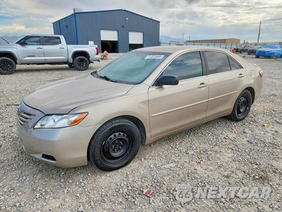 2009 TOYOTA CAMRY LE 4T1BE46K59U339820 - główne zdjęcie licytacji z USA - miniatura