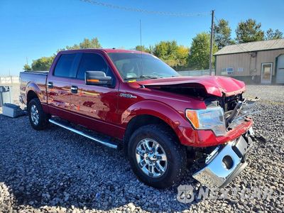 Czwarte zdjęcie samochodu z boku: 2013 FORD F150 SUPERCREW VIN:1FTFW1EF1DKE91264 - miniatura