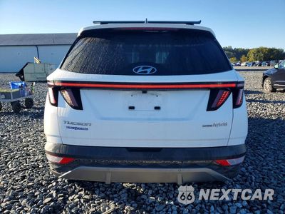 Zdjęcie 6 z 14 samochodu: 2024 HYUNDAI TUCSON LIMITED VIN:KM8JECD1XRU234495 - miniatura
