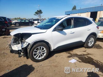 2022 FORD ESCAPE SE 1FMCU9G65NUA59783 - główne zdjęcie licytacji z USA - miniatura