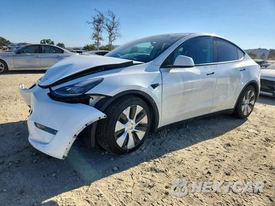 2021 TESLA MODEL Y 5YJYGAEE6MF215480 - główne zdjęcie licytacji z USA - miniatura