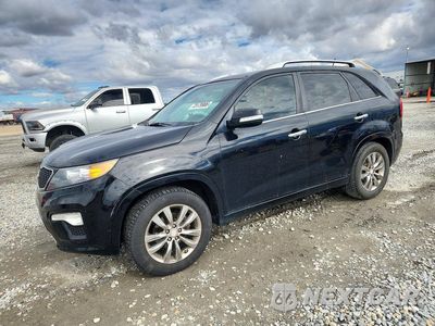 2012 KIA SORENTO SX 5XYKW4A28CG305842 - główne zdjęcie licytacji z USA - miniatura