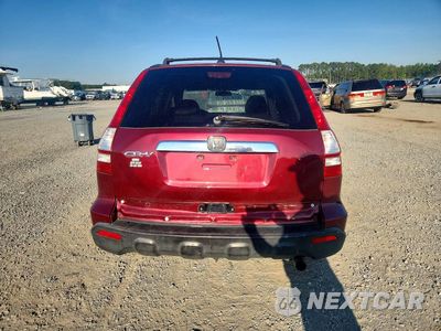 Zdjęcie 6 z 14 samochodu: 2007 HONDA CR-V EXL VIN:JHLRE48777C048768 - miniatura