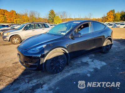 2023 TESLA MODEL Y 7SAYGDEE7PA181796 - główne zdjęcie licytacji z USA - miniatura