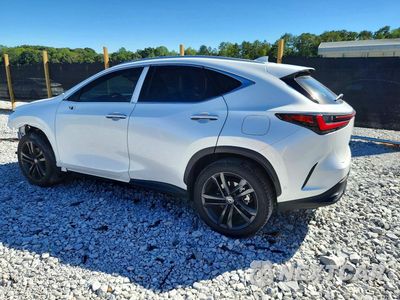Drugie zdjęcie samochodu z przodu: 2025 LEXUS NX 450H+ BASE VIN:JTJHKCFZ1S2061432 - miniatura