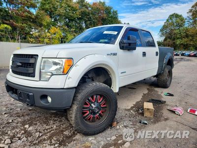 2013 FORD F150 SUPERCREW 1FTFW1ET5DFC14549 - główne zdjęcie licytacji z USA - miniatura