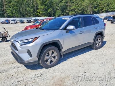 2025 TOYOTA RAV4 XLE 2T3W1RFV0SC340506 - główne zdjęcie licytacji z USA - miniatura