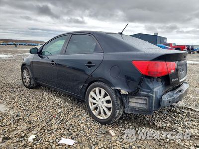 Drugie zdjęcie samochodu z przodu: 2012 KIA FORTE EX VIN:KNAFU4A22C5469682 - miniatura