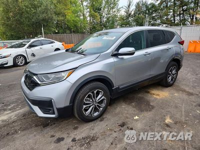 2020 HONDA CR-V EX 2HKRW2H52LH691282 - główne zdjęcie licytacji z USA - miniatura