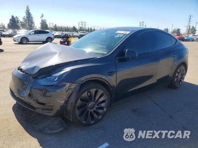 2024 TESLA MODEL Y 7SAYGDEF7RF059325 - główne zdjęcie licytacji z USA - miniatura