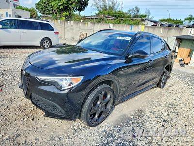 2022 ALFA ROMEO STELVIO TI ZASPAKBN5N7D25006 - główne zdjęcie licytacji z USA - miniatura