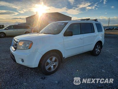 2009 HONDA PILOT EXL 5FNYF48529B047277 - główne zdjęcie licytacji z USA - miniatura