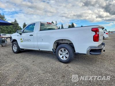 Drugie zdjęcie samochodu z przodu: 2020 CHEVROLET SILVERADO C1500 VIN:3GCNWAEF4LG272820 - miniatura